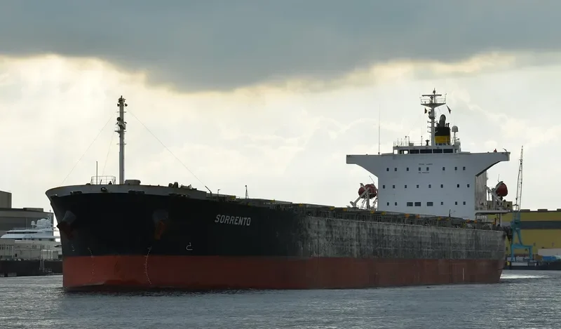 DESPINA D Bulk Carrier IMO 9310408 photo 2