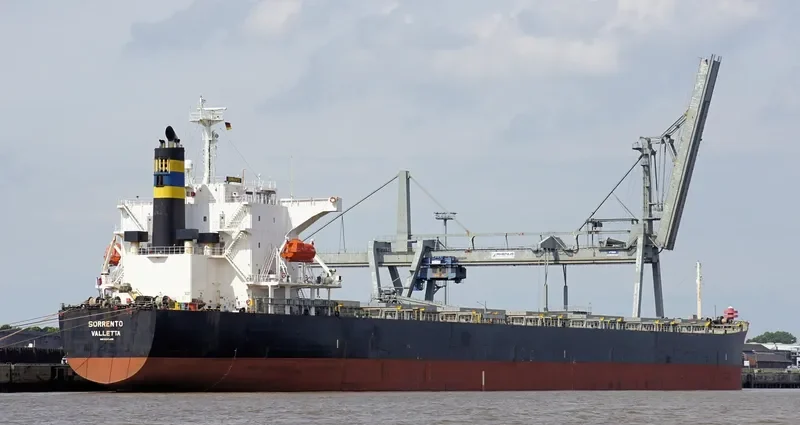 DESPINA D Bulk Carrier IMO 9310408 photo 3