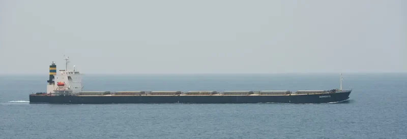 DESPINA D Bulk Carrier IMO 9310408 photo 4