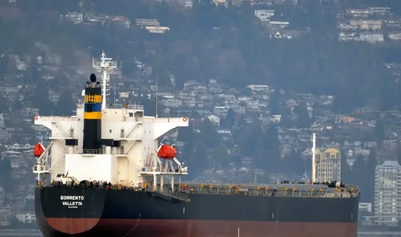 DESPINA D Bulk Carrier IMO 9310408 photo 5