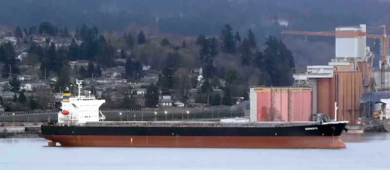 DESPINA D Bulk Carrier IMO 9310408 photo 6