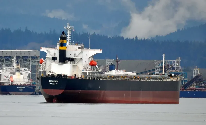 DESPINA D Bulk Carrier IMO 9310408 photo 7