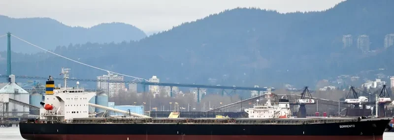 DESPINA D Bulk Carrier IMO 9310408 photo 8