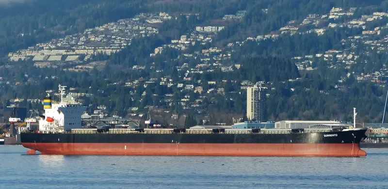 DESPINA D Bulk Carrier IMO 9310408 photo 9