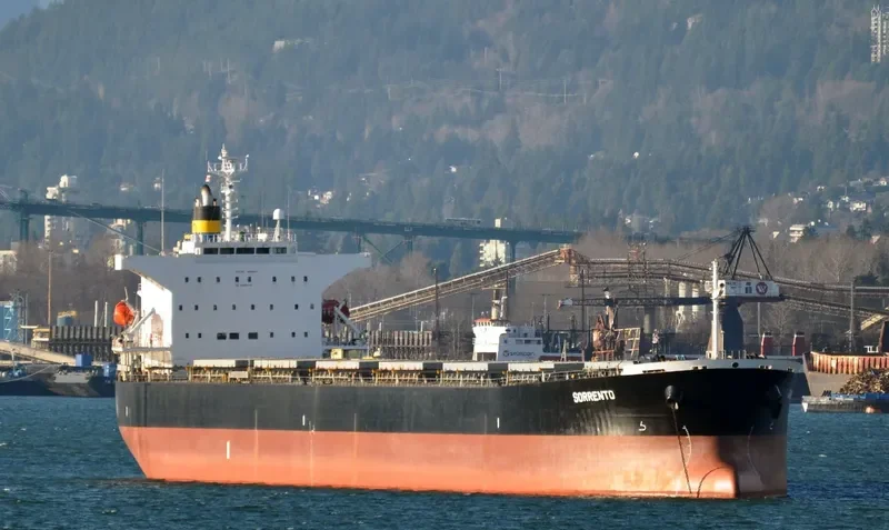 DESPINA D Bulk Carrier IMO 9310408 photo 10