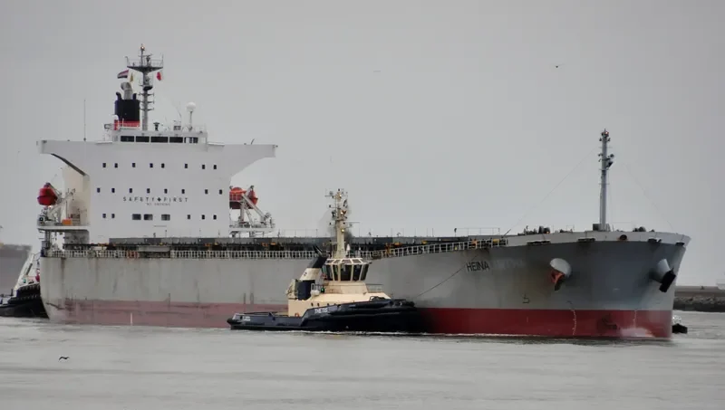 ORIENT BEAUTY Bulk Carrier IMO 9310410 photo 3