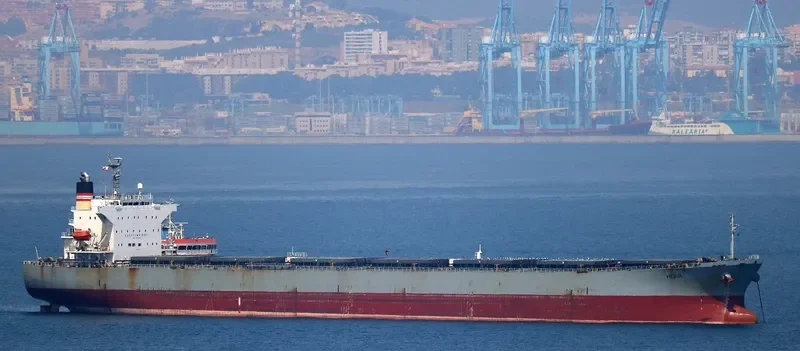ORIENT BEAUTY Bulk Carrier IMO 9310410 photo 4