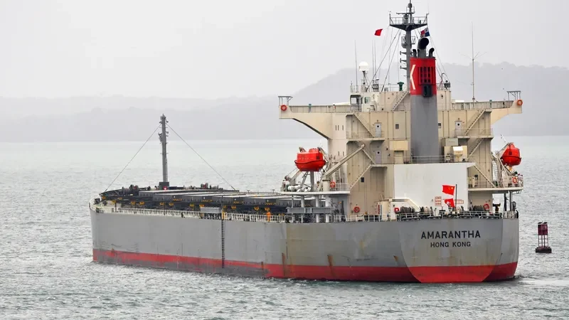 ORIENT BEAUTY Bulk Carrier IMO 9310410 photo 5
