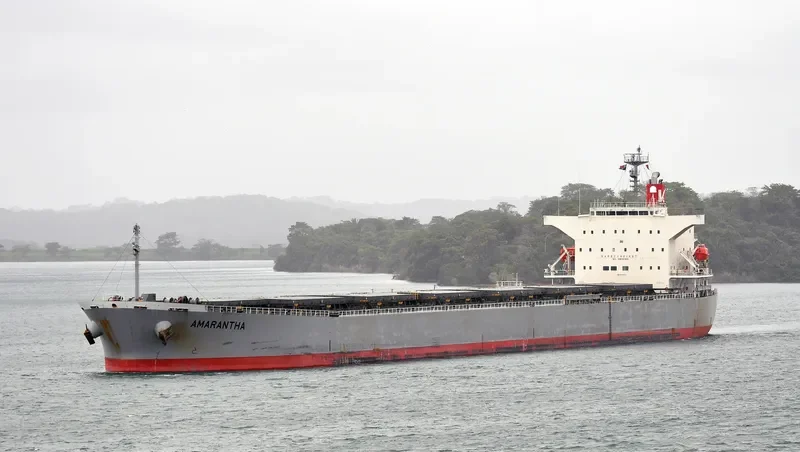 ORIENT BEAUTY Bulk Carrier IMO 9310410 photo 6