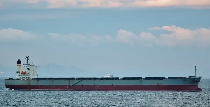 ORIENT BEAUTY Bulk Carrier IMO 9310410 photo 7