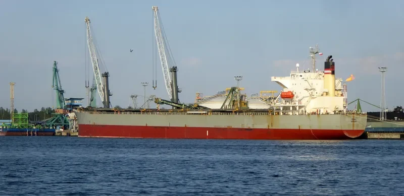 ORIENT BEAUTY Bulk Carrier IMO 9310410 photo 8