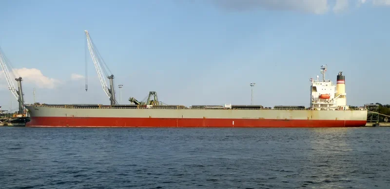 ORIENT BEAUTY Bulk Carrier IMO 9310410 photo 9