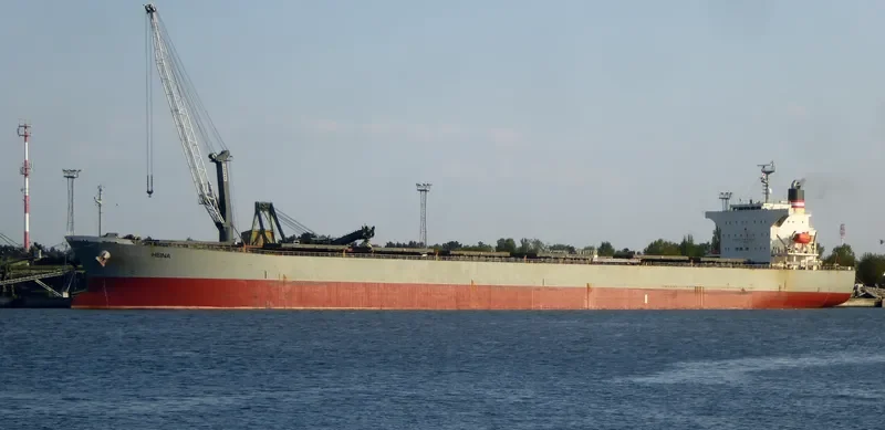 ORIENT BEAUTY Bulk Carrier IMO 9310410 photo 10