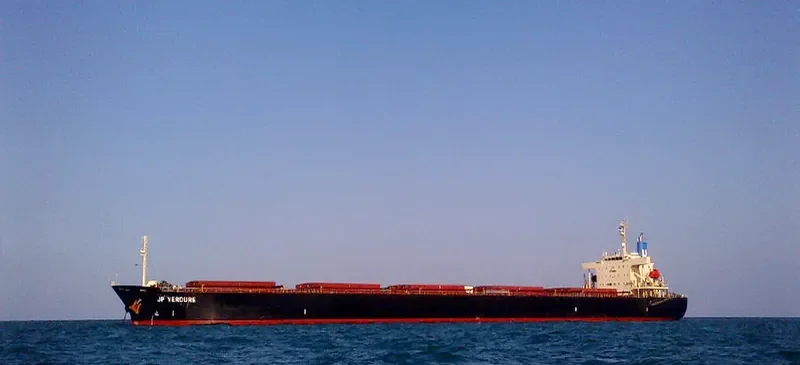 VERDURE WAVE Bulk Carrier IMO 9310422 photo 2