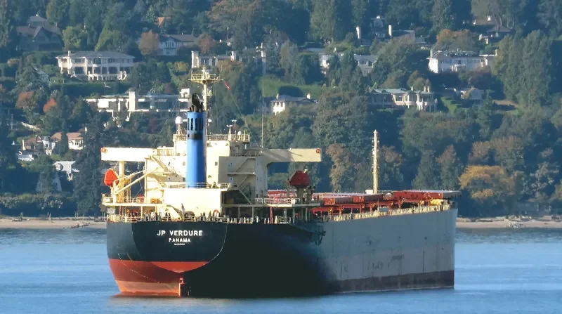 VERDURE WAVE Bulk Carrier IMO 9310422 photo 6