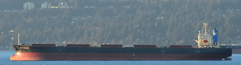 VERDURE WAVE Bulk Carrier IMO 9310422 photo 7