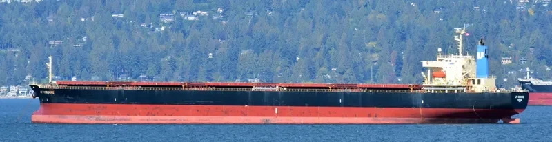 VERDURE WAVE Bulk Carrier IMO 9310422 photo 8