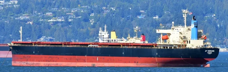 VERDURE WAVE Bulk Carrier IMO 9310422 photo 10