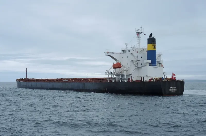 ZHONG TUO FU XING Bulk Carrier IMO 9310446