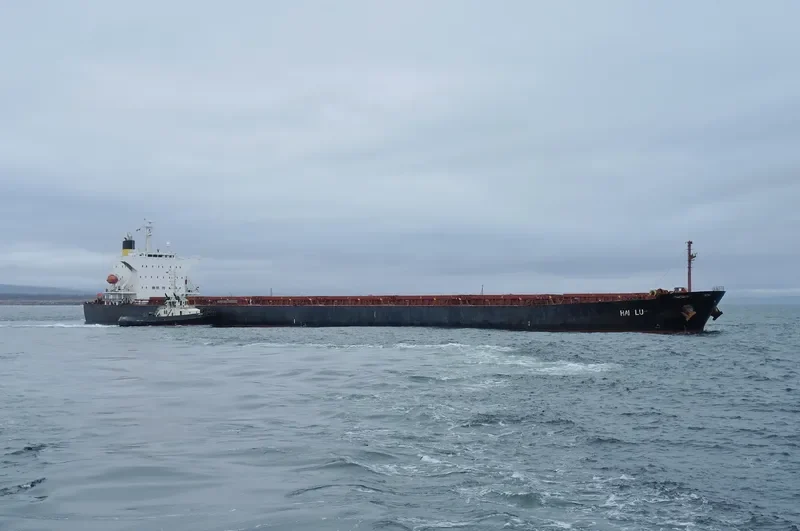 ZHONG TUO FU XING Bulk Carrier IMO 9310446 photo 2