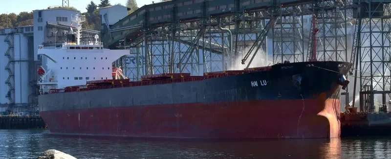 ZHONG TUO FU XING Bulk Carrier IMO 9310446 photo 4