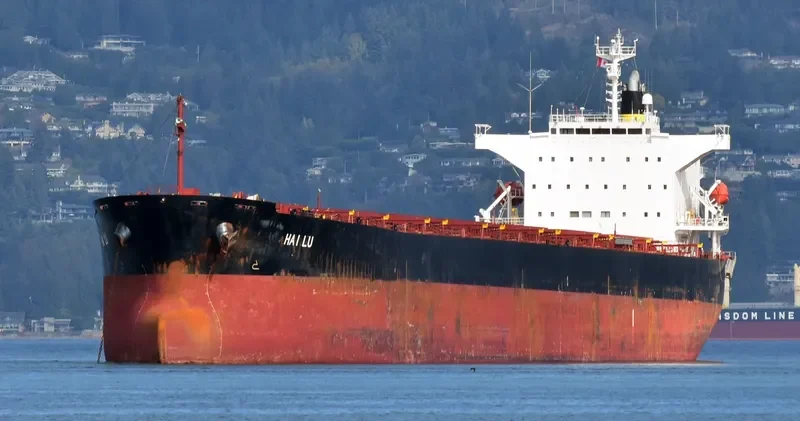 ZHONG TUO FU XING Bulk Carrier IMO 9310446 photo 6