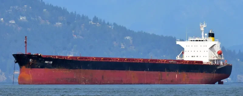 ZHONG TUO FU XING Bulk Carrier IMO 9310446 photo 7