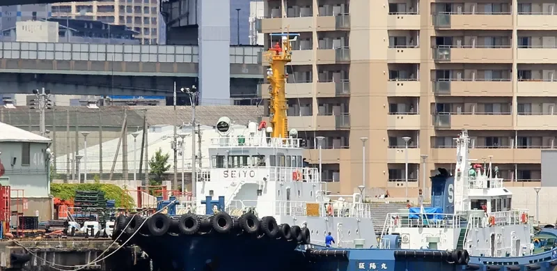 SEIYO MARU General Cargo IMO 9310458 photo 8