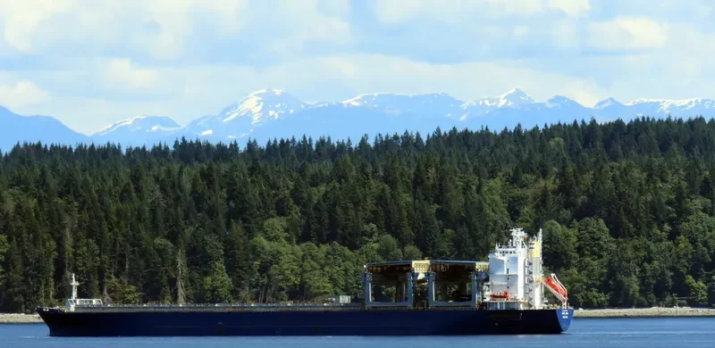 STAR JAVA Container Ship IMO 9310513 photo 2