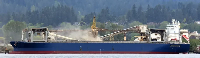 STAR JAVA Container Ship IMO 9310513 photo 5