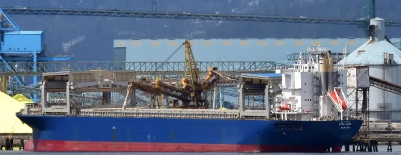 STAR JAVA Container Ship IMO 9310513 photo 8