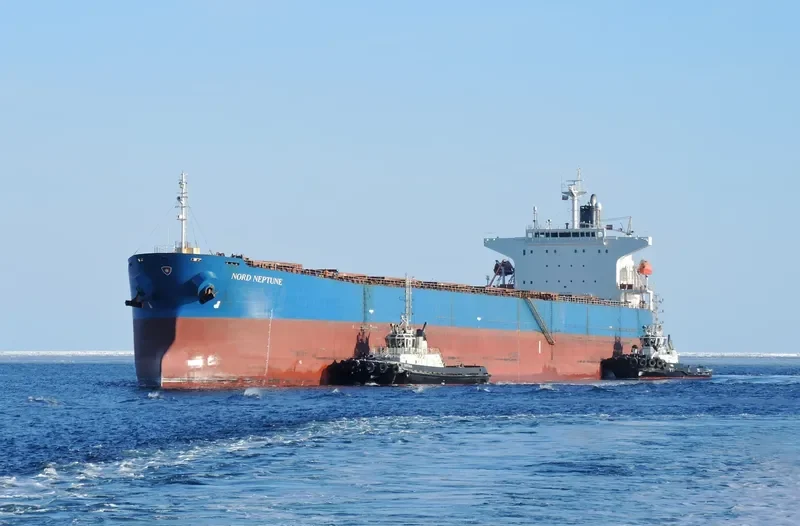 THE GIVER Bulk Carrier IMO 9310537 photo 6