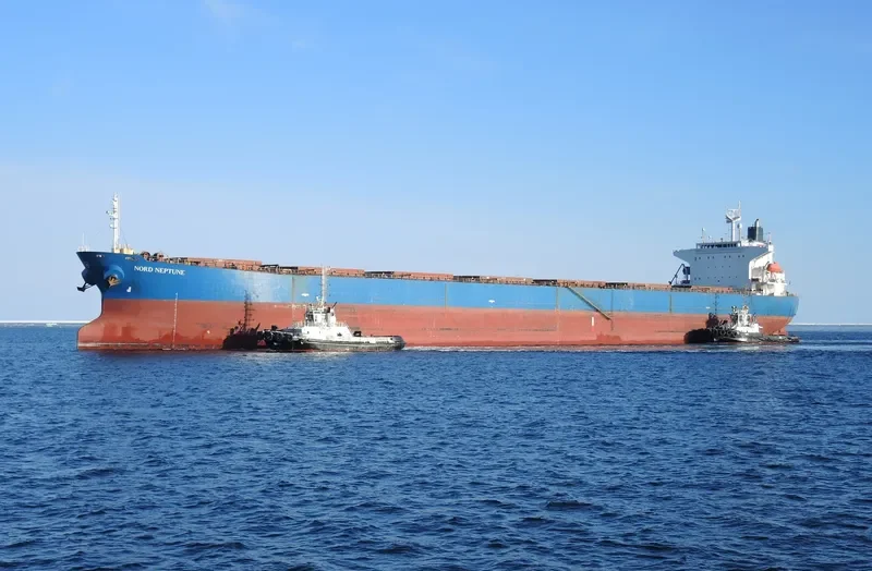 THE GIVER Bulk Carrier IMO 9310537 photo 7