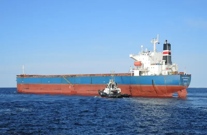THE GIVER Bulk Carrier IMO 9310537 photo 8