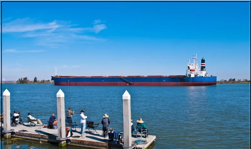THE GIVER Bulk Carrier IMO 9310537 photo 9