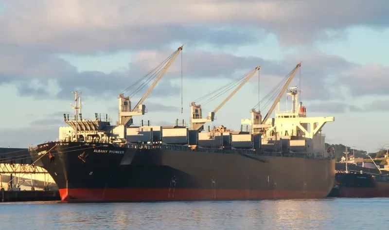 ALBANY PIONEER Bulk Carrier IMO 9310549
