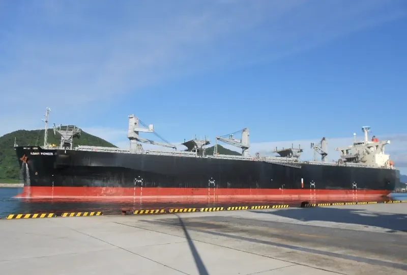ALBANY PIONEER Bulk Carrier IMO 9310549 photo 4