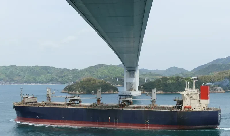 ALBANY PIONEER Bulk Carrier IMO 9310549 photo 6