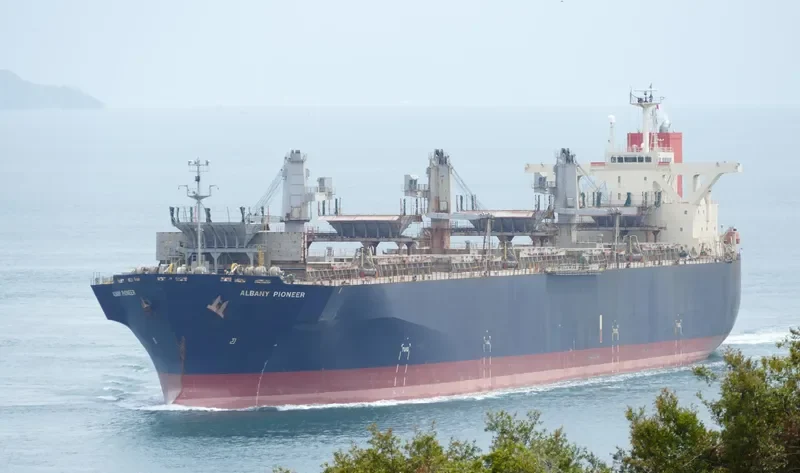 ALBANY PIONEER Bulk Carrier IMO 9310549 photo 8