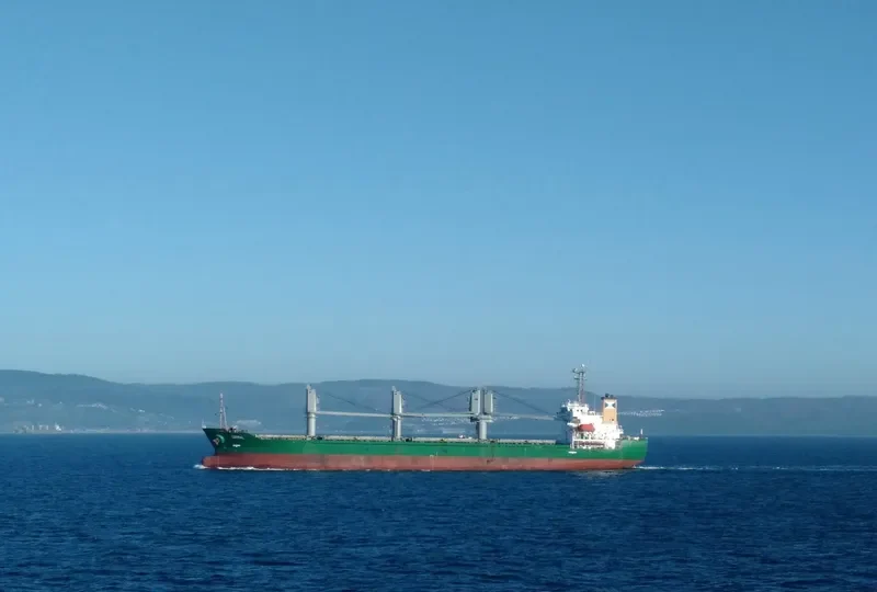 CORRAL Bulk Carrier IMO 9310575