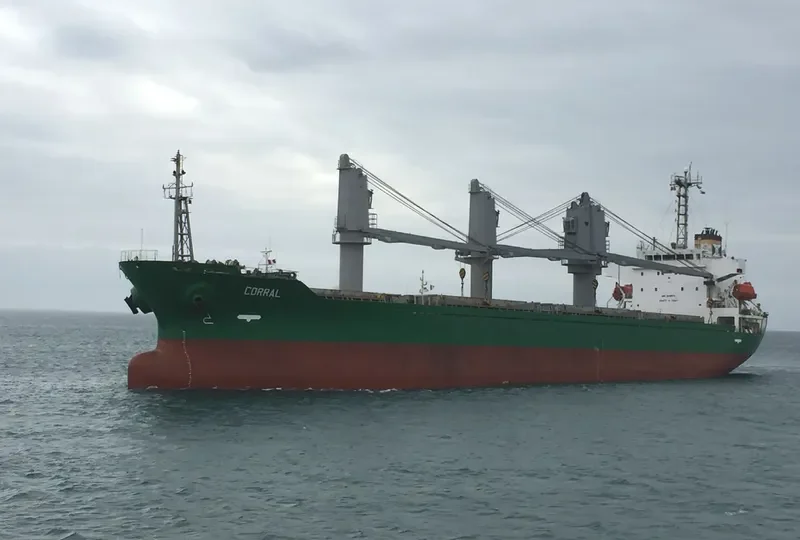 CORRAL Bulk Carrier IMO 9310575 photo 2
