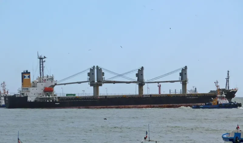 CORRAL Bulk Carrier IMO 9310575 photo 3