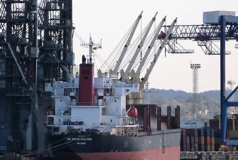 DS SOFIE BULKER Bulk Carrier IMO 9310604