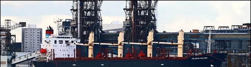DS SOFIE BULKER Bulk Carrier IMO 9310604 photo 2