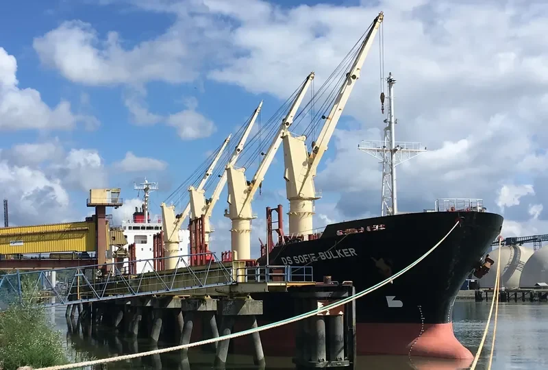 DS SOFIE BULKER Bulk Carrier IMO 9310604 photo 3