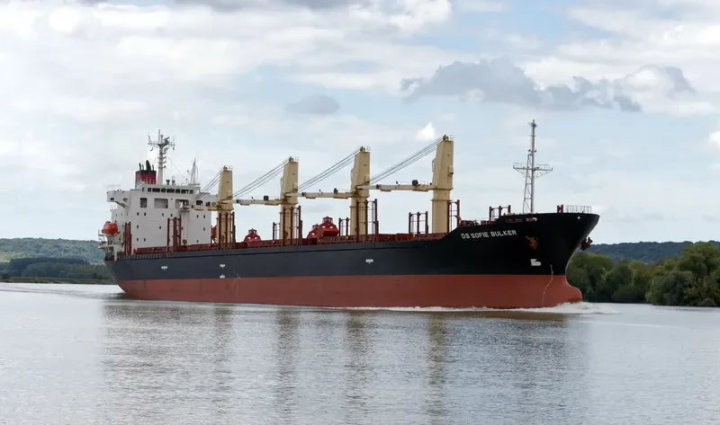 DS SOFIE BULKER Bulk Carrier IMO 9310604 photo 4