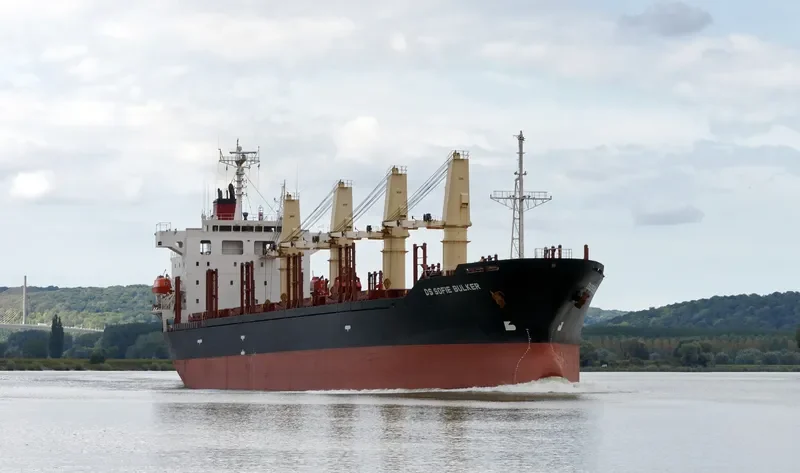 DS SOFIE BULKER Bulk Carrier IMO 9310604 photo 5