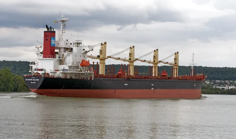 DS SOFIE BULKER Bulk Carrier IMO 9310604 photo 6