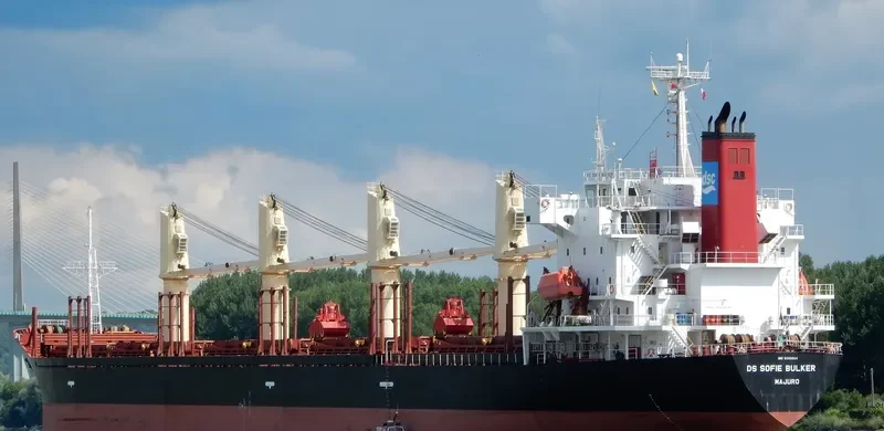 DS SOFIE BULKER Bulk Carrier IMO 9310604 photo 7