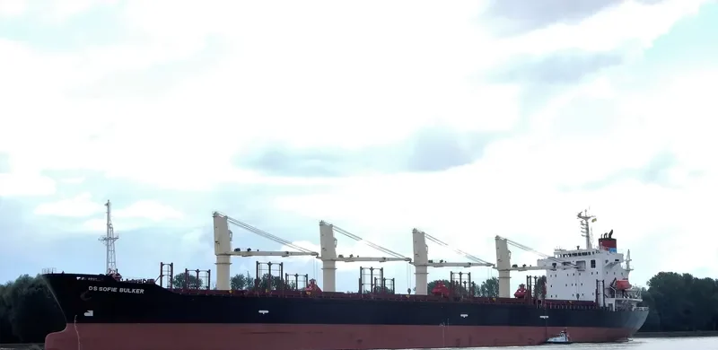 DS SOFIE BULKER Bulk Carrier IMO 9310604 photo 8